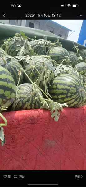 1748177813-compressed-IMG_8124.PNG
