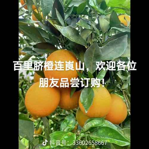 tmp_a67b6d770c67dcc04958ebdeb9b1e4d8.jpg