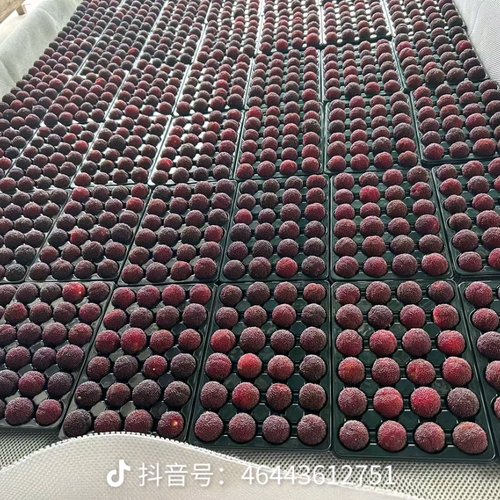 1745459027259_comment_85e30fe3a12ef56827fb71b90b4974b5.png