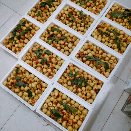 1754089117300_comment_eda6d788035a0d74ef8bac9b4a89bee9.png