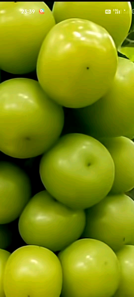1754379887780_share_b1150aacd61ab4f298e91ed0baa51002.png