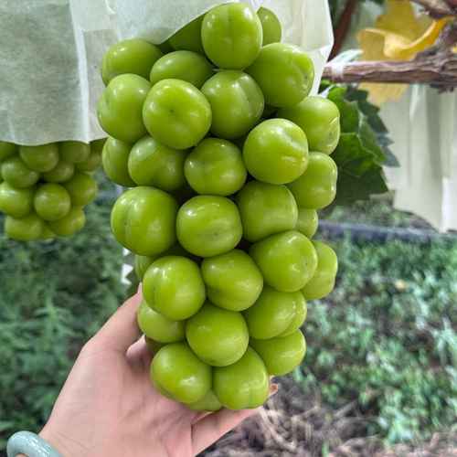 1754642425-compressed-IMG_8043.jpg
