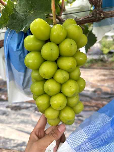 1754965937-compressed-IMG_8966.jpg