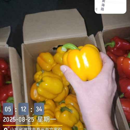 1757673138867_Marki_20250825_051234986.jpg