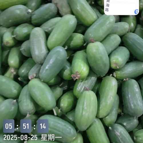 1757673138327_Marki_20250825_055114993.jpg