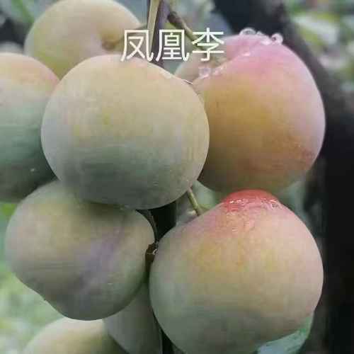 30Ezq9B3
