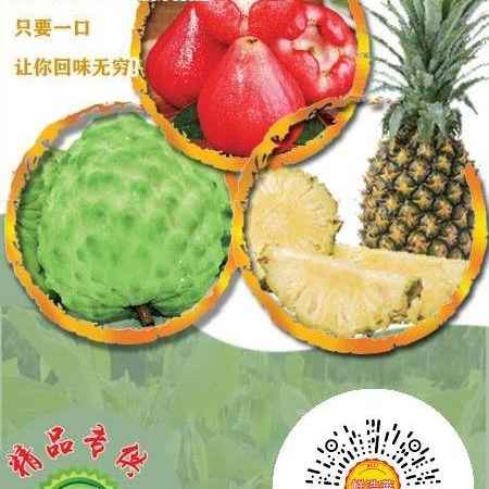 基地直营