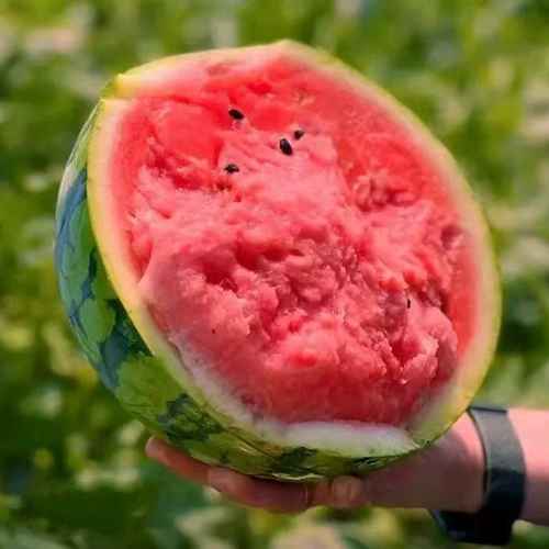 斌哥鲜果