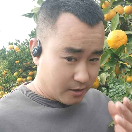 小文