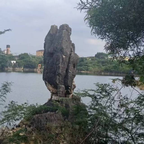 玉石花开