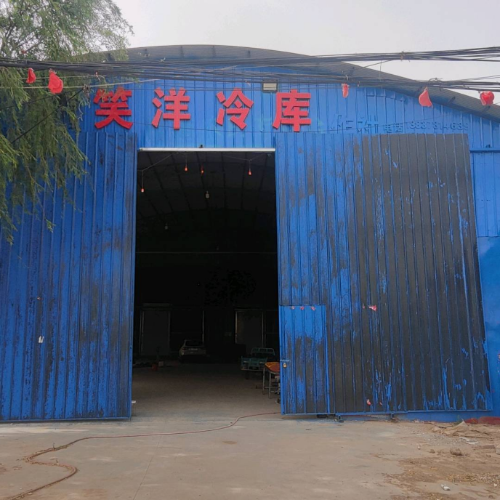 笑洋冷库