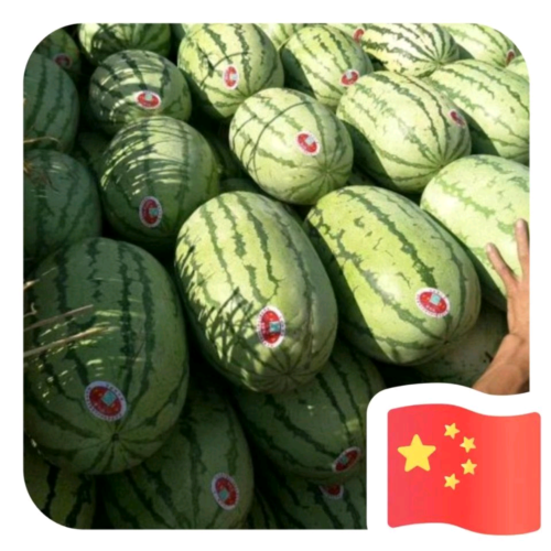 新疆西瓜商行