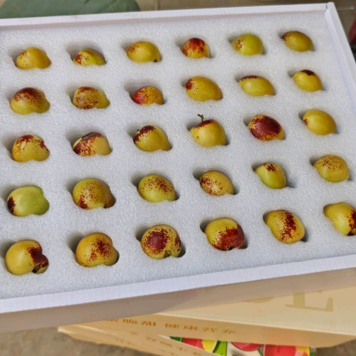 大荔冬枣