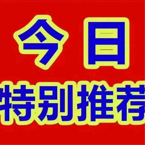银川芹菜