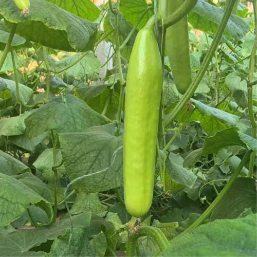 手机用户13589171176