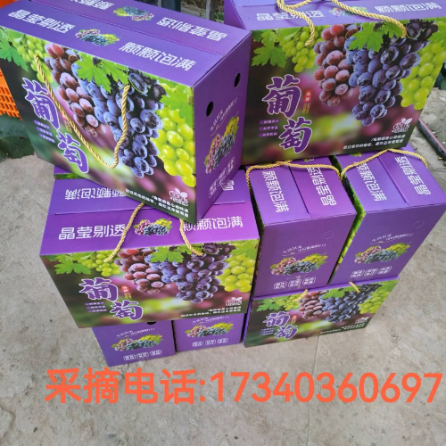 可欣葡萄园
