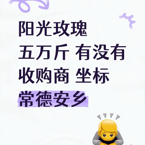 阳光玫瑰批发