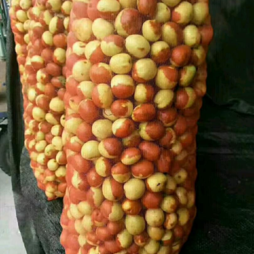 何龙冬枣生鲜供应