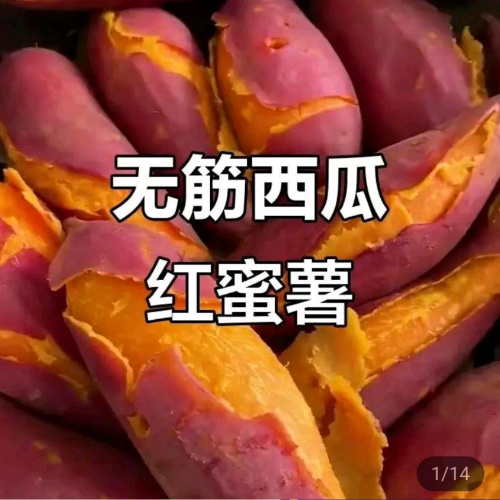 6dlbYpRJ