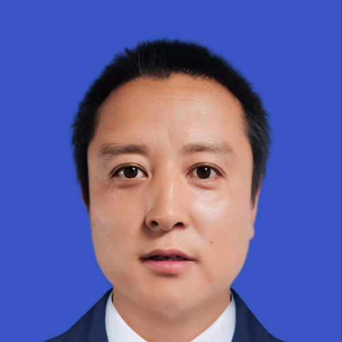 甘肃苜蓿草