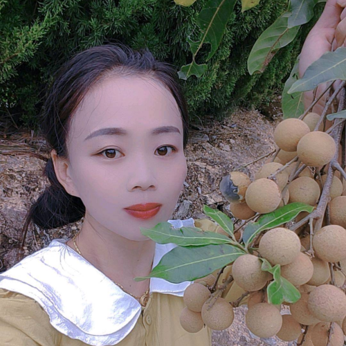 晨宝