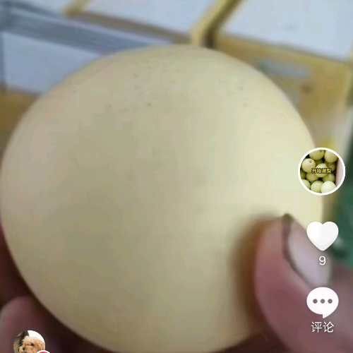 河北皇冠梨   雪梨直销