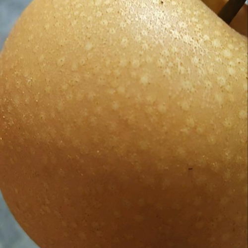 产地代办各种水果