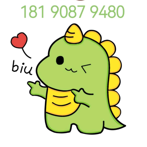 手机用户18190879480