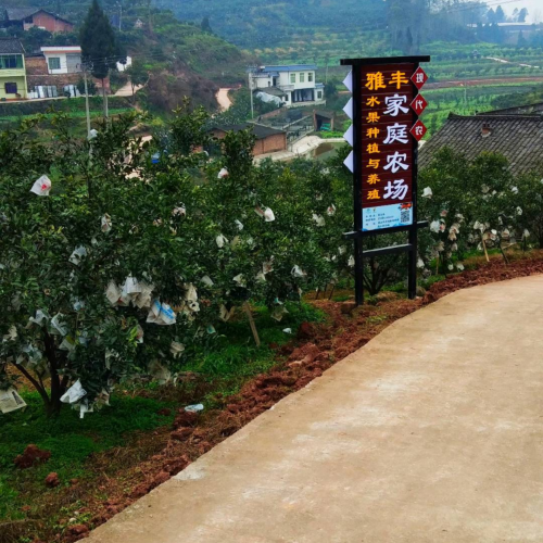 手机用户18783331399