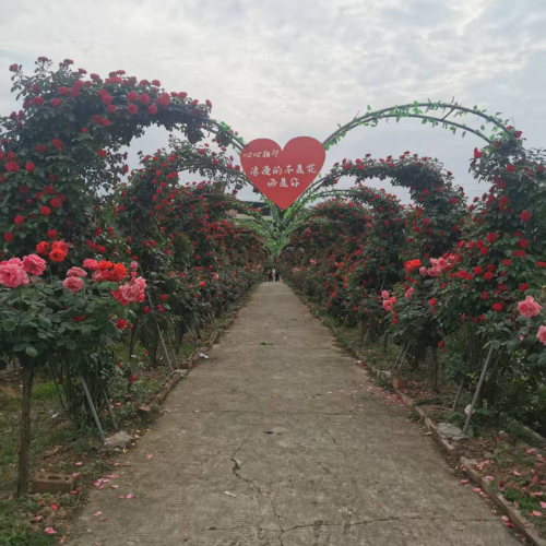 手机用户18608077629