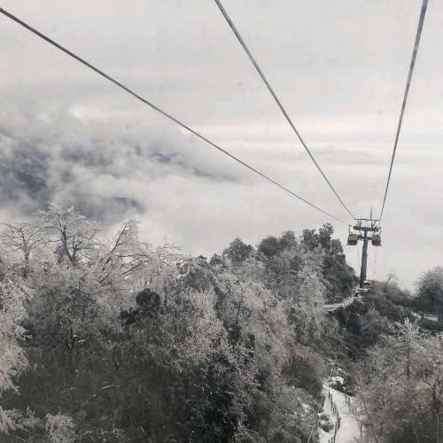 手机用户18180480798