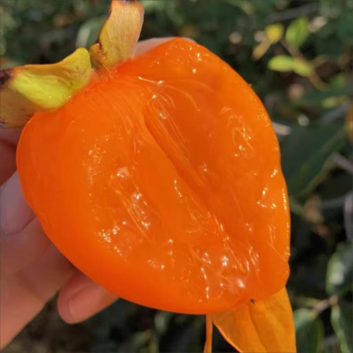 柿饼 樱桃 苹果(产地真发）