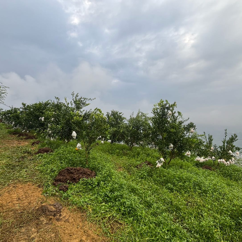 尚雅广告～小郑19115212192