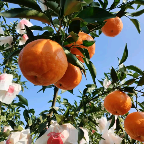 邮箱用户882877@qq.com