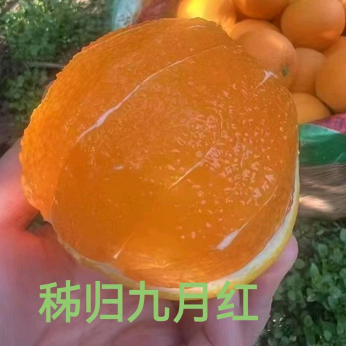 👉王🤝19172297213