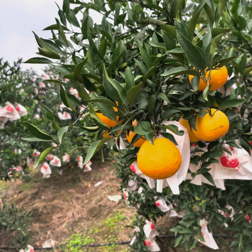 手机用户13880603205