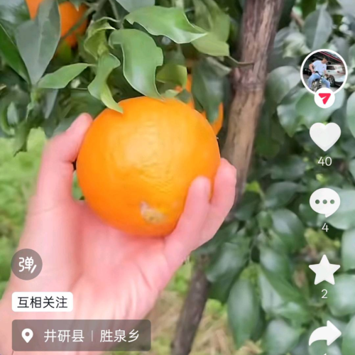 手机用户18284611339