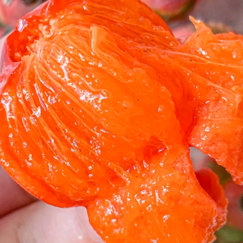 大型供应链采购