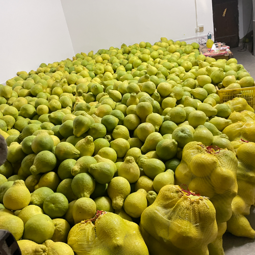 手机用户13407461036