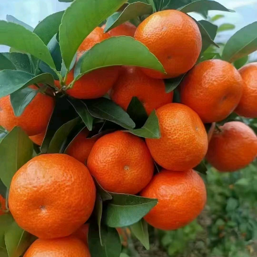 手机用户18312884728