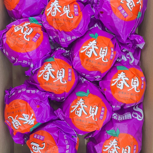 手机用户19032377154