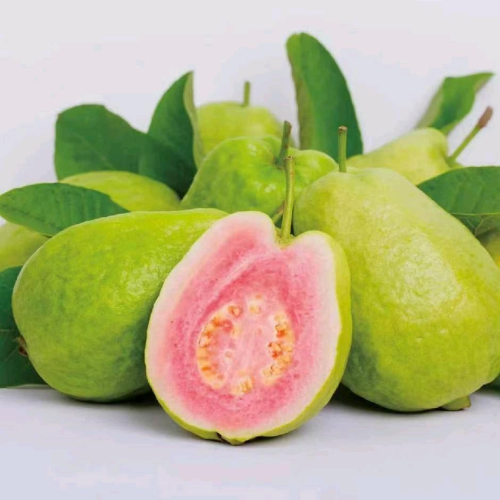 手机用户18584824394