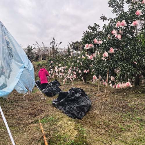 手机用户13558834982