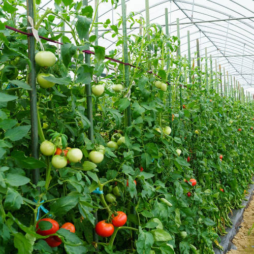 手机用户15895302423