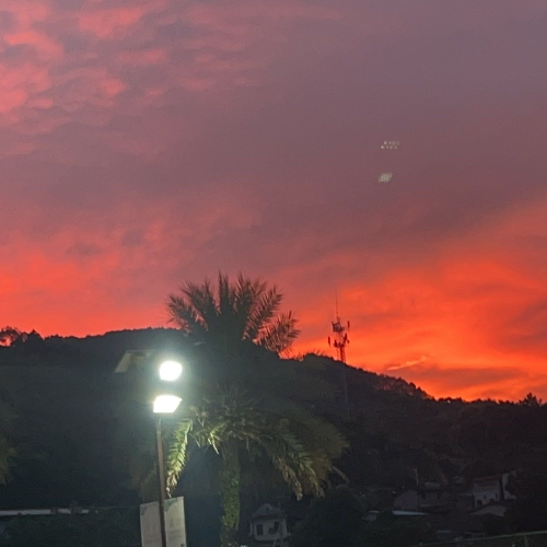 云南河口热带水果直发