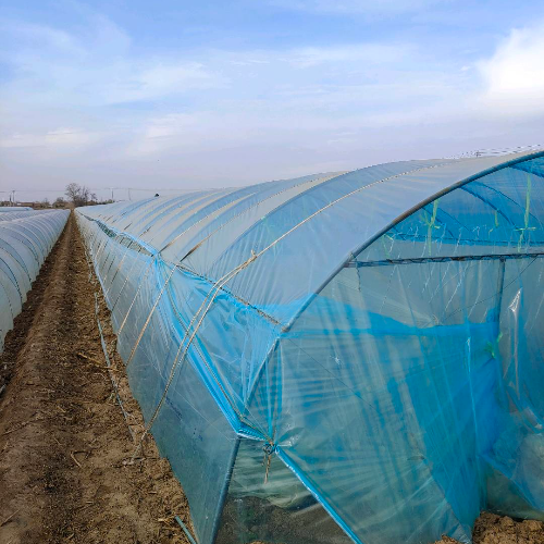 渭南水果代办雷