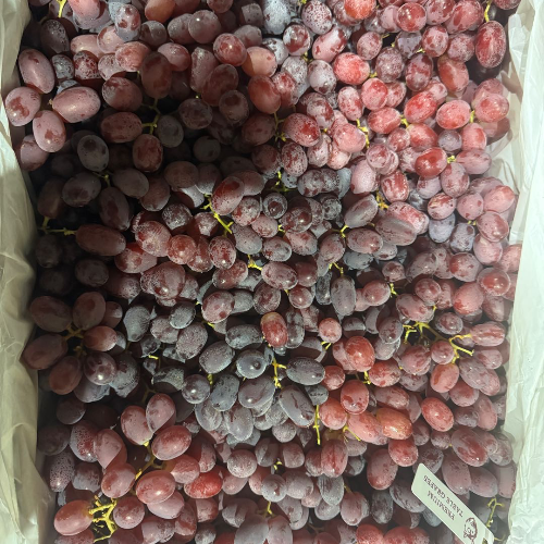 专业水果配送中心