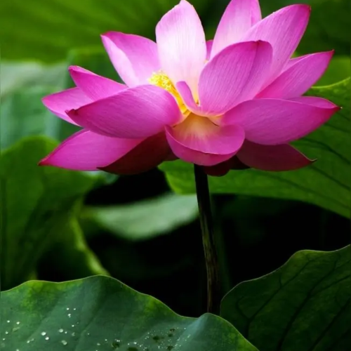 手机用户13167625621