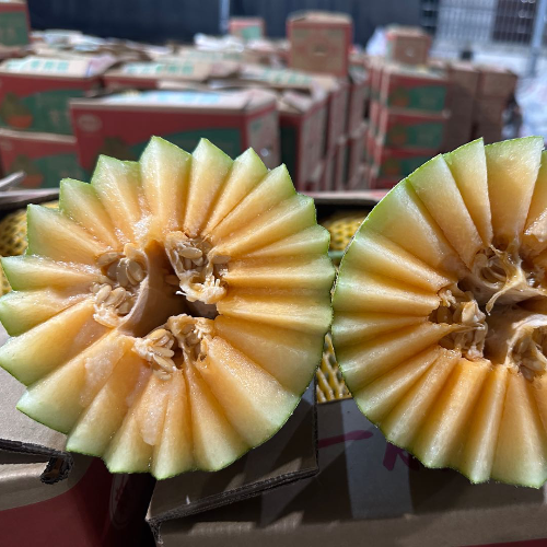 手机用户15344515996