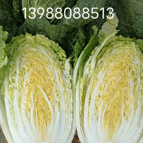 手机用户13988088513